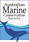 Australian Marine Conservation Society Logo