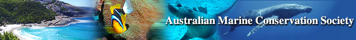 Australian Marine Conservation Society Banner